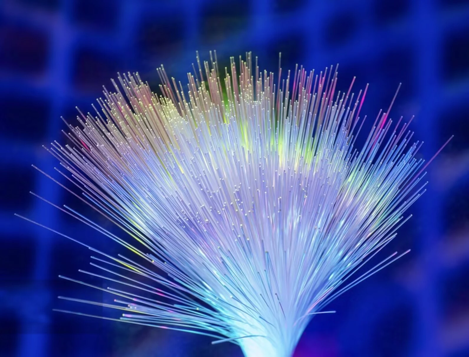 Optical Fiber